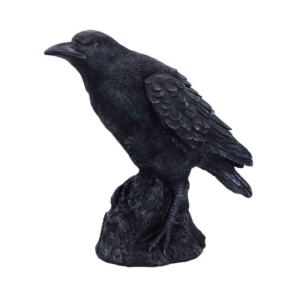 Nemesis Now - Raven Messenger 25cm Figurine - Black